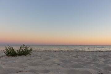 Beautiful sunset on the beach with grass. Calm evening over the sea. Colorful evening sky on island. Seaside landscape.  White sand beach and calm sea in evening dusk. Summer vacation.
