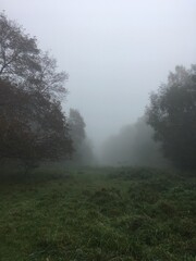 Fototapeta na wymiar Foggy autumn field in park