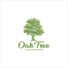 Obraz premium oak tree logo design template silhouette vector icon