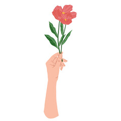 Hand holding a pink flower. flower in Palm. Vector flat design in cartoon style. Isolated on white background.