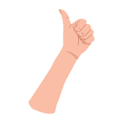 Hand gesture Thumb up symbol, finger up. Like sign. Vector flat design in cartoon style. Isolated on white background.