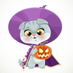 Cute cartoon baby cat in the wizard's hat and cloak with Halloween pumpkin isolated on a white background