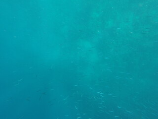 DCIM\100GOPRO\GOPR7184.JPG