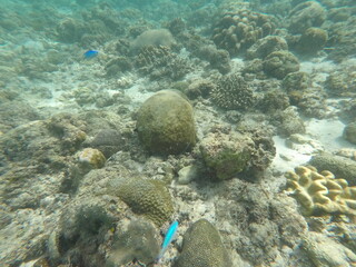 DCIM\100GOPRO\GOPR7225.JPG