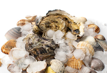 Fresh Oysters, Molluscs and Mussels in Seafood Restaurant