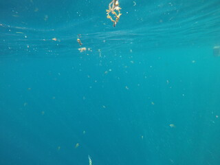 DCIM\100GOPRO\G0197202.JPG