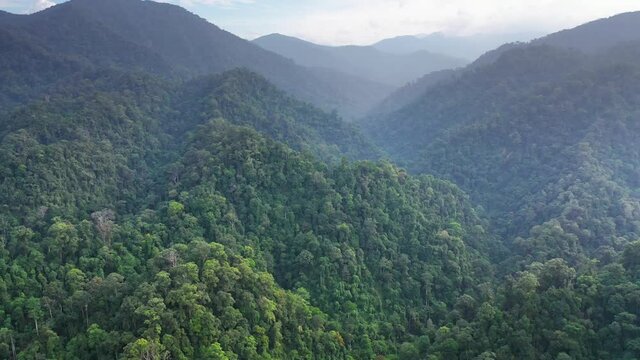 Cinematic backwards aerial shot of beautiful jungle landscape in Gunung Leuser National Park, the Tropical Rainforest Heritage of Sumatra, Indonesia - drone slowly tilting down
