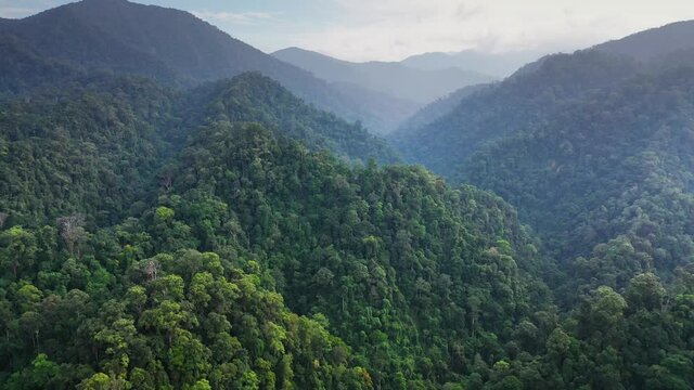 Cinematic aerial view of beautiful jungle landscape in Gunung Leuser National Park, the Tropical Rainforest Heritage of Sumatra, Indonesia