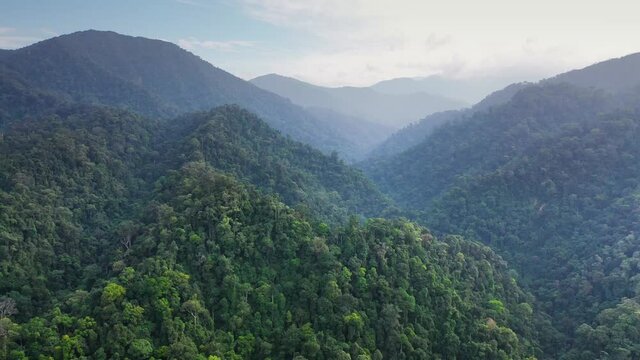 Cinematic aerial view of beautiful jungle landscape in Gunung Leuser National Park, the Tropical Rainforest Heritage of Sumatra, Indonesia - drone slowly tilting up