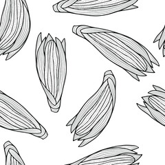 Monochrome corn cobs on a white background. Vector outlines seamless pattern. Autumn vegetables. - obrazy, fototapety, plakaty