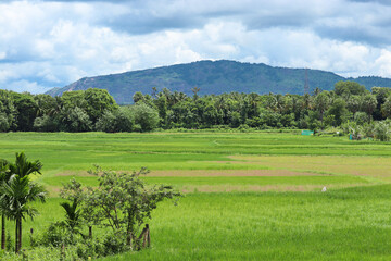 Fototapeta na wymiar landscape of the mountains green field and sky