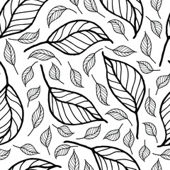 Monochrome outlines leaves on a white background. Design for coloring page, fabric, print, card, wrapping, wallpaper. Vector. 