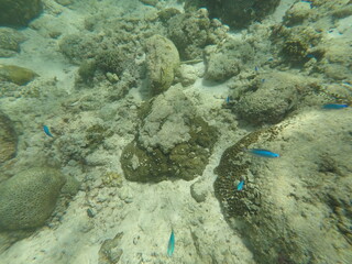 DCIM\100GOPRO\GOPR7158.JPG