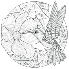 Hummingbirds and flowers.Coloring book antistress for children and adults. Illustration isolated on white background.Black and white drawing.Zen-tangle style. © Екатерина Власенко
