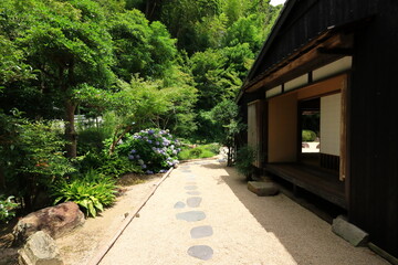 Fototapeta premium 武家屋敷 松江市 島根