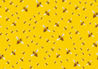 Bee seamless pattern background . Vector bee background.