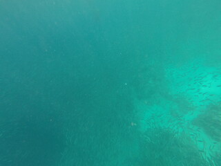 DCIM\100GOPRO\GOPR7063.JPG