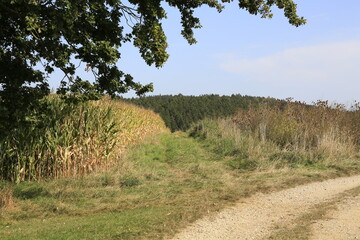 Feldweg Wanderweg Natur Spaziergang Wald und Wiese