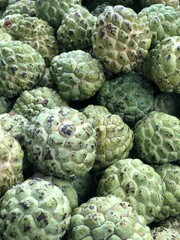 The custard apple, sugar-apple or sweetsop, is the fruit of Annona squamosa, the most widely grown species of Annona, native of tropical climate in the Americas. Also called Seetaphal in India.