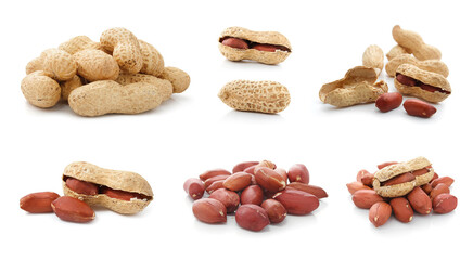 Set of peanut fruits dried legume isolated on white background. Stock photo.