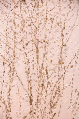 Detail of facade wall with remains of dry ivy climbing sticker plant