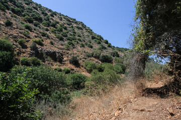 On hiking trail in Nahal Amud [Amud Stream]  Nature Reserve, the most attractive hiking trail in Upper Galilee, Northern Israel, Israel.