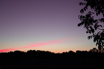 pink and purple sunset at a field