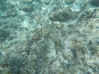 DCIM\100GOPRO\GOPR7124.JPG