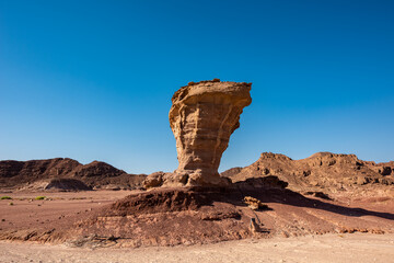Fototapeta na wymiar Sculpture of a Grail made by nature in the Arava Valley near Eilat. Timna Park. Israel. 