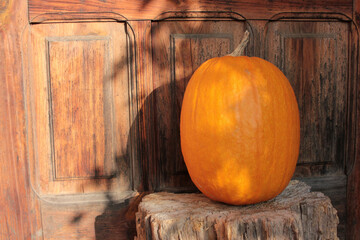 Pumpkin on the porch on wooden door background. Halloween outdoor decor