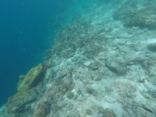 DCIM\100GOPRO\GOPR7126.JPG