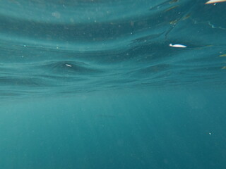 DCIM\100GOPRO\GOPR7177.JPG