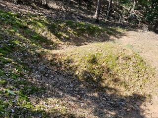 묘지 무덤 묘 무연고