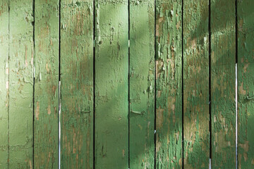 A close up of a green door