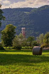 Bell tower behind the fields in rural Italy