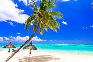 Perfect tropical beach scenery. Palm trees over turquoise sea and white sand