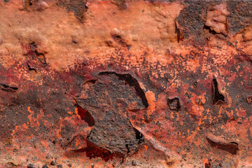 Rost