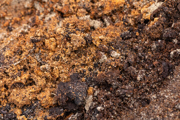 Surface texture of a mixture of sand and earth, close-up.