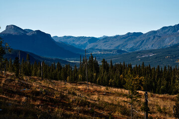 Landscape in the autumn. Vivid and bright colors. Stong red and yellow hue. Shot in Hallindagl, Gol. © SteinOve