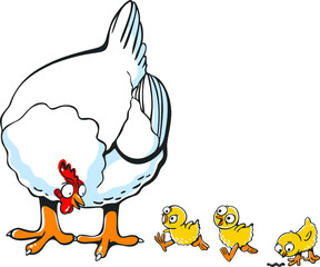 Cartoon mother chicken with some chicks on white background.