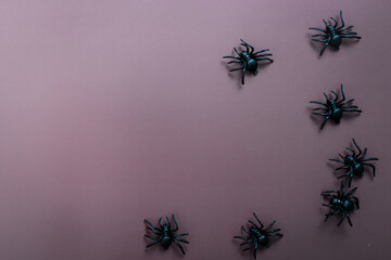 Happy Halloween, scary spider on purple background