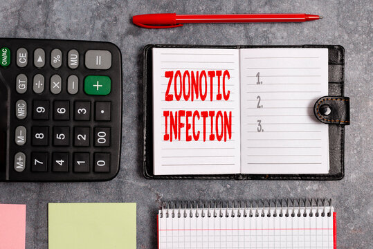 Word writing text Zoonotic Infection. Business photo showcasing communicable disease transmitted by a non viral agent Paper accesories with digital smartphone arranged on different background