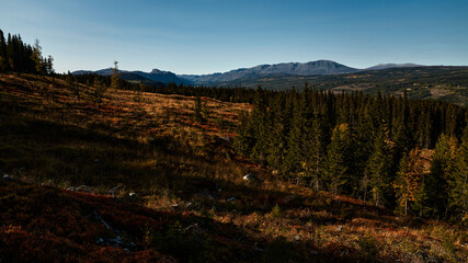 Countryside of Norway. Rural landscape from a different time.  Shot in Hallingdal, Gol. View towards Hemsedal.