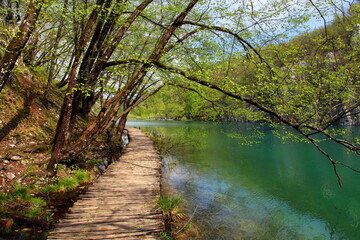 Lakes of The Plitvice Lakes National Park in Croatia