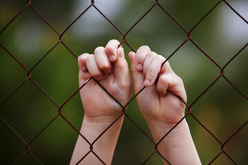 children's hands hold on to the fence