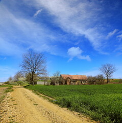 Summer landscape in Serbia, Europe