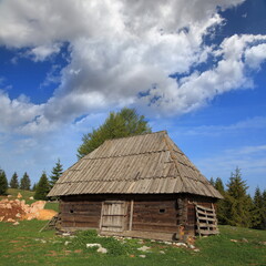 Fototapeta na wymiar Beautiful Tara Mountain in Serbia