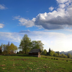 Obraz premium Beautiful Tara Mountain in Serbia