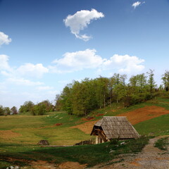 Beautiful Tara Mountain in Serbia