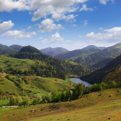 Fototapeta premium Beautiful Tara Mountain in Serbia